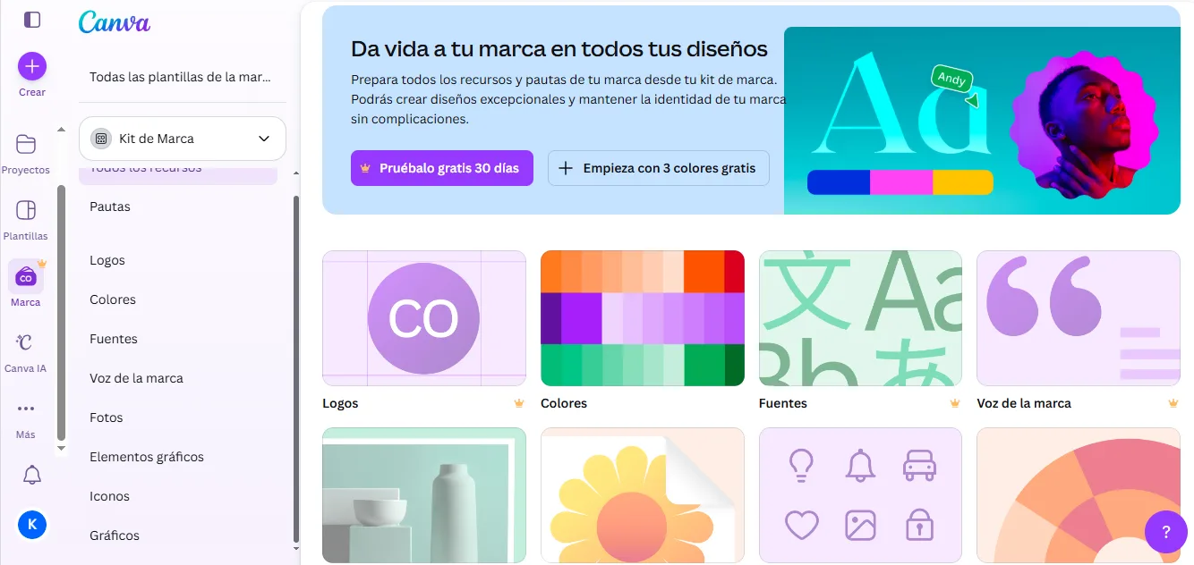 interfaz de Canva con la vista del kit de marca.