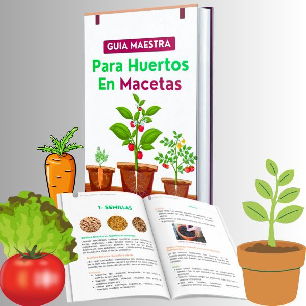 manual-huertos-en-macetas Imagen de portada del producto digital Manual Para Huertos En Macetas